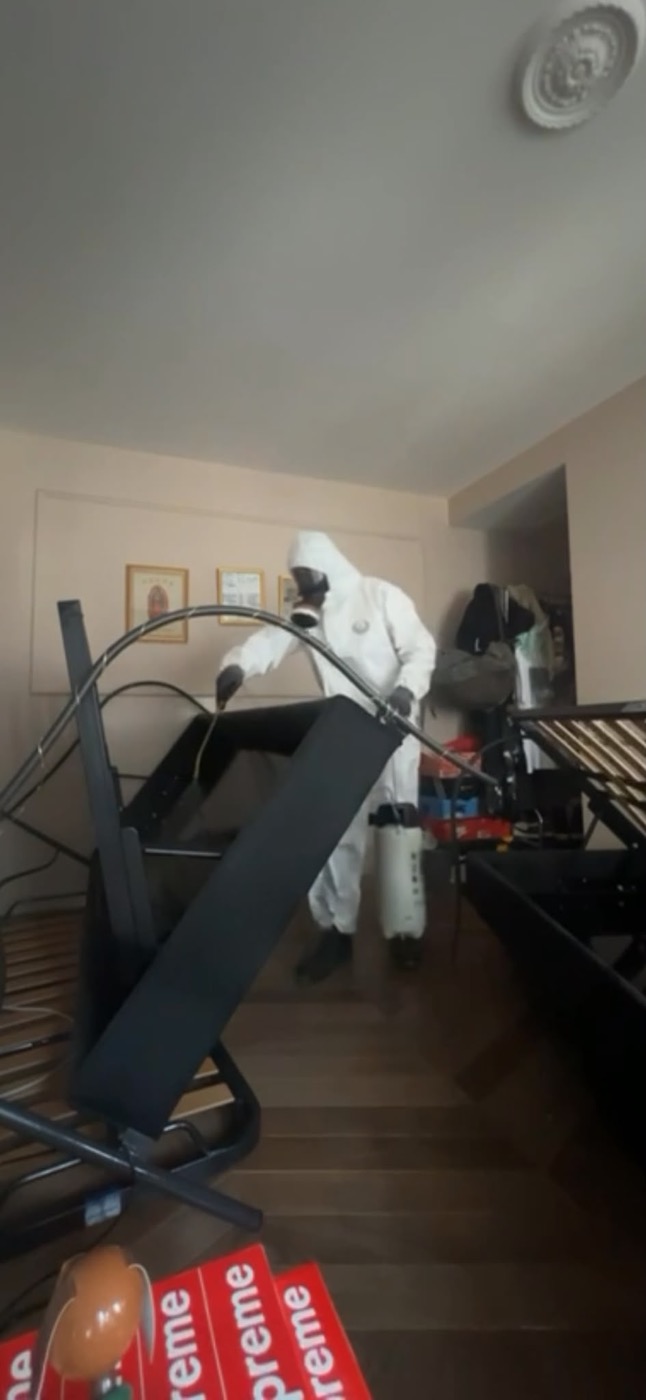 Traitement désinsectisation punaises de lit et cafards